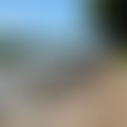 Projeto Meandros: resultados parciais
